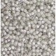 Miyuki delica Beads 11/0 - Fancy lined oyster DB-2391